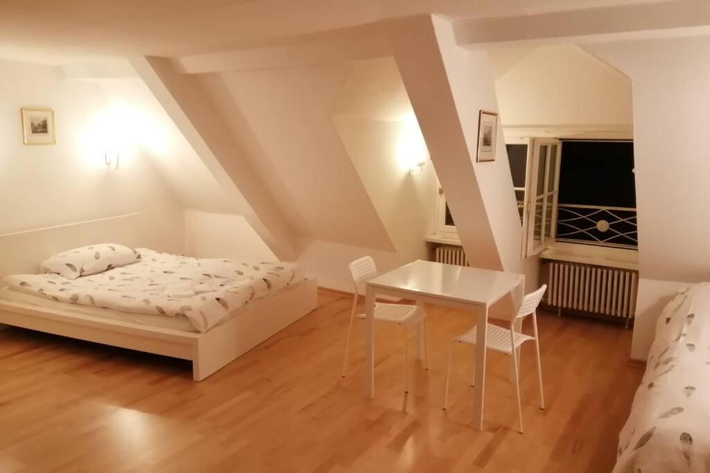 דירות בזל Studio F Am Barfusserplatz Central Old Town מראה חיצוני תמונה