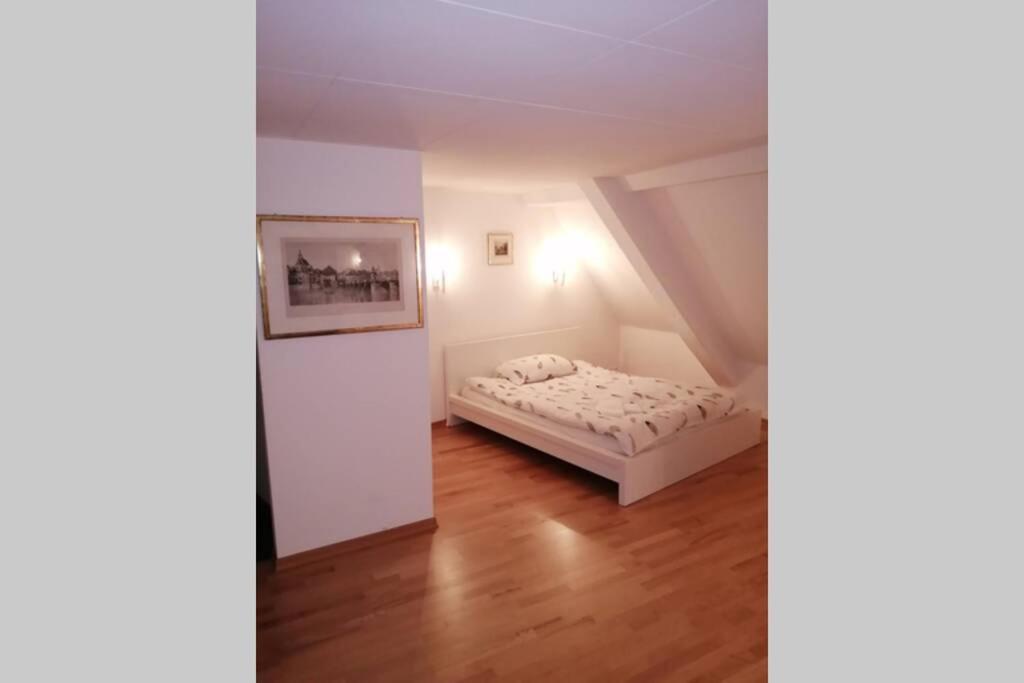 דירות בזל Studio F Am Barfusserplatz Central Old Town מראה חיצוני תמונה